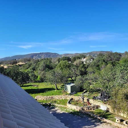 Vista Magica B&B ซานตา บาร์บารา เดอ เนกซ์ ภายนอก รูปภาพ